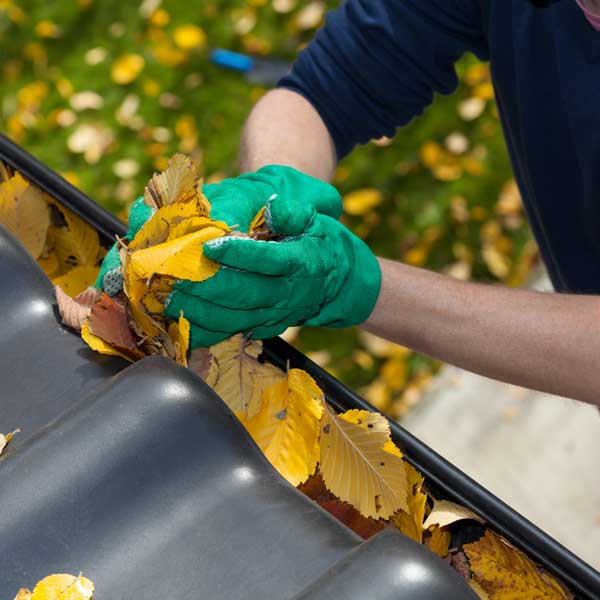 gutter cleaning professional removing leaves from dirty gutter